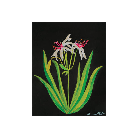 Swamp Lilies