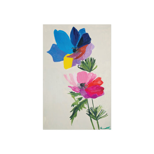 Multi-Colored Anemone